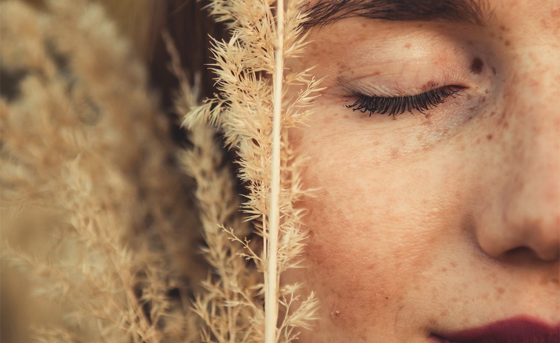 Stress ? Je pense aux plantes !